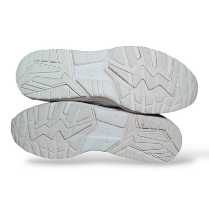 Asics Gel Kayano Trainer EVO