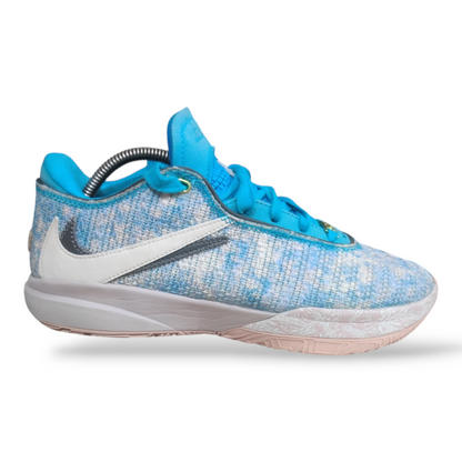 Nike Lebron 20 "All Stars" Museum Edition