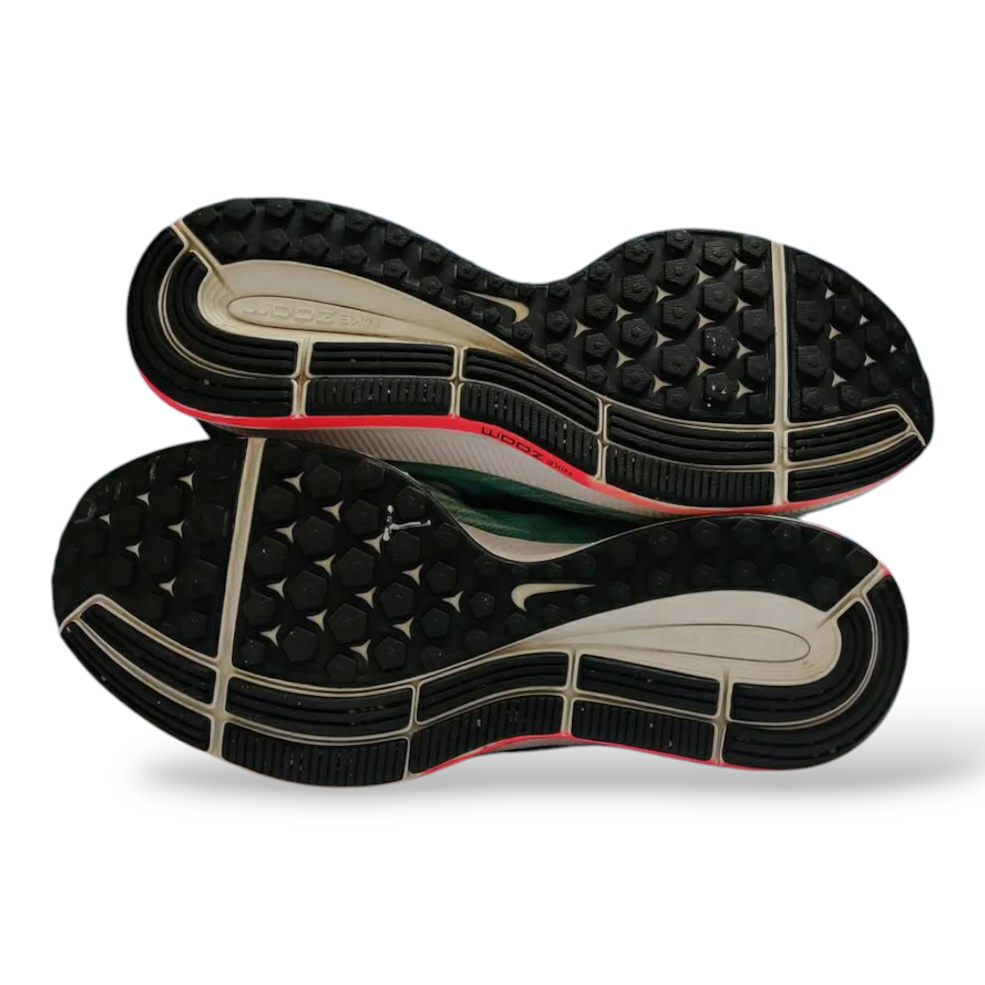 Nike Zoom Pegasus 33